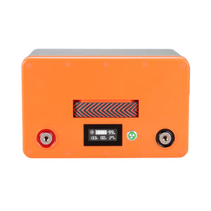 Batterie LiFePO4 100Ah AVEC moniteur